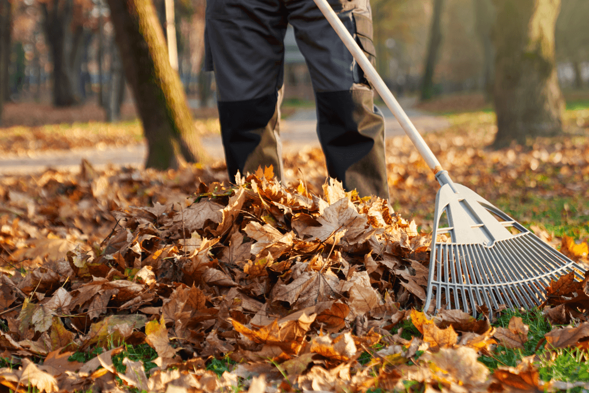 Landscaping services in Tualatin